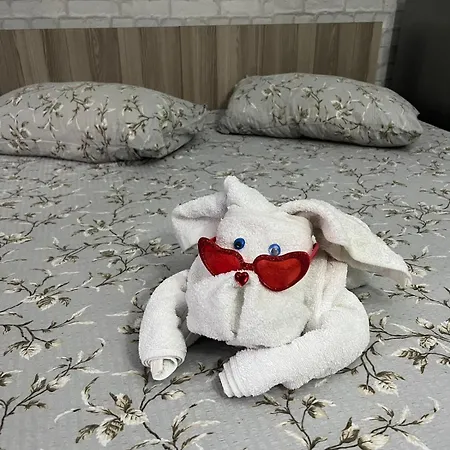 Sofia House Gasthuis Constanţa