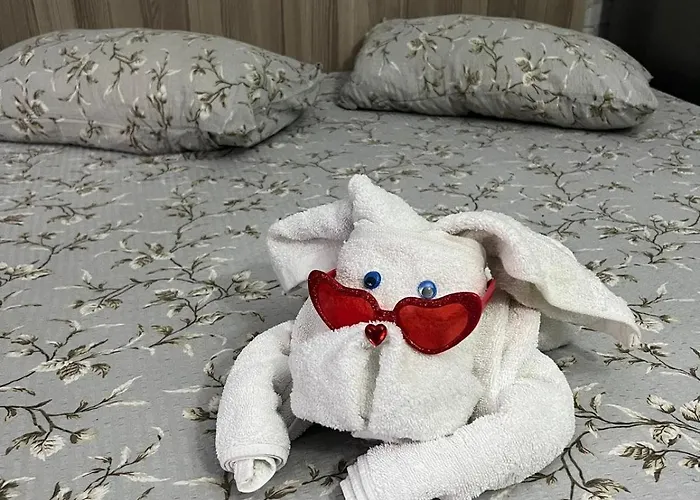 Sofia House Gasthof Constanţa